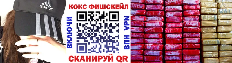Купить  Порхов  COCAIN Эквадор 