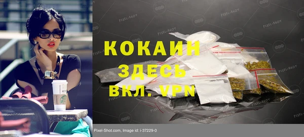прущие грибы Корсаков