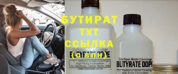 прущие грибы Корсаков