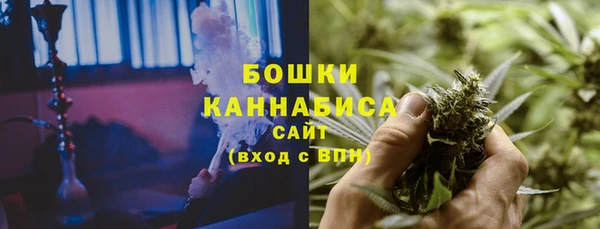прущие грибы Корсаков