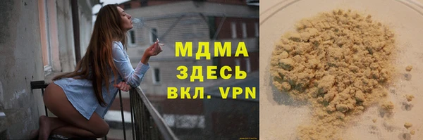прущие грибы Корсаков