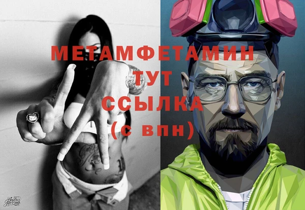 прущие грибы Корсаков