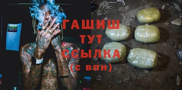 прущие грибы Корсаков