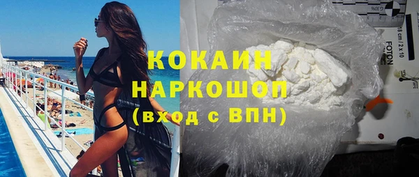 прущие грибы Корсаков