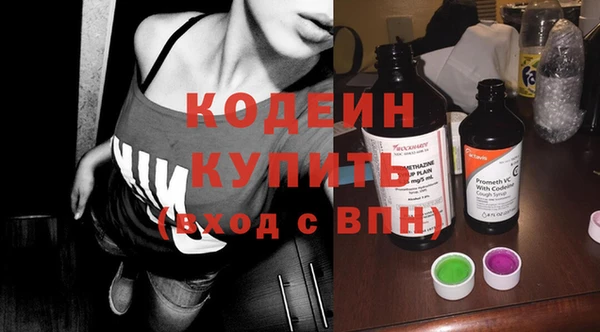 прущие грибы Корсаков