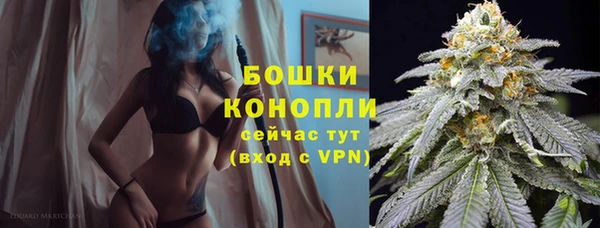 прущие грибы Корсаков